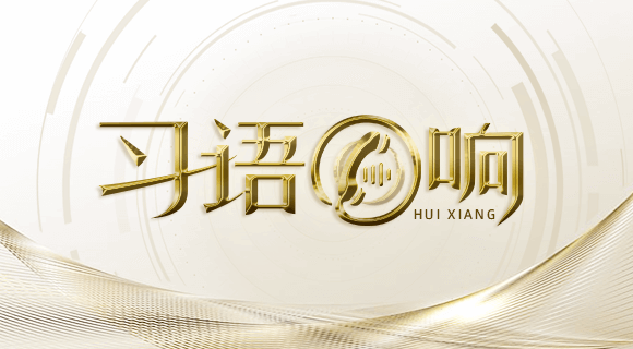 习语回响