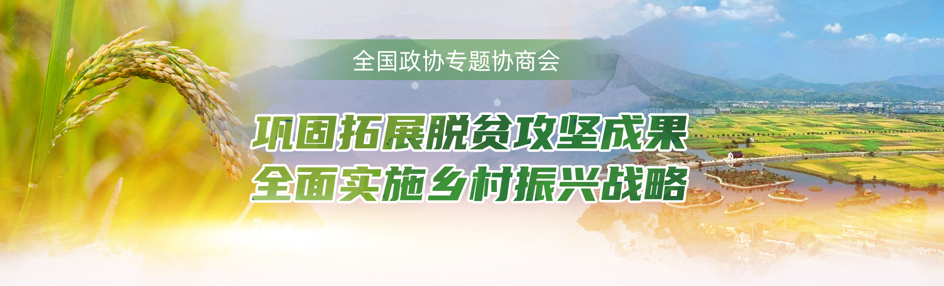 远程协商