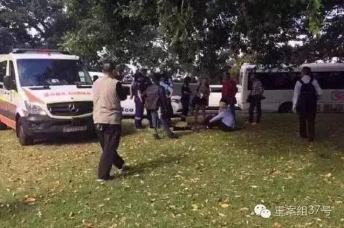 悉尼公园随地便溺 两中国游客已回国