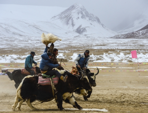 536909_xxjpiec000418_20140319_tppfn1a001_600_450 536909_xxjpiec000418_20140319_tppfn1a001_600_450