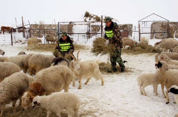 内蒙古迎来降温天气3