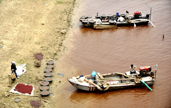 天津独流减河河水变色 2