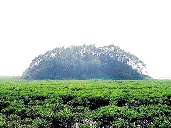 广西出售无人海岛部分单价14元3 广西出售无人海岛部分单价14元3