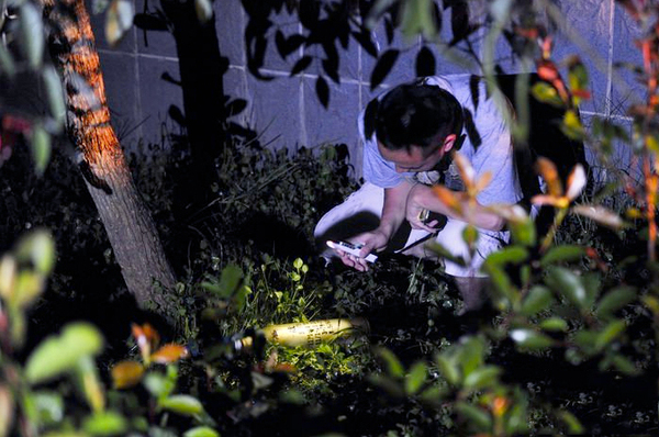 八成新炮弹惊现小区3