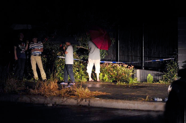 八成新炮弹惊现小区2