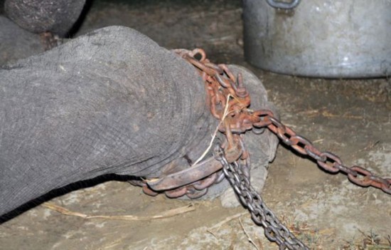 16610393251959708312