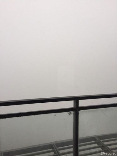 　王菲发微博吐槽雾霾