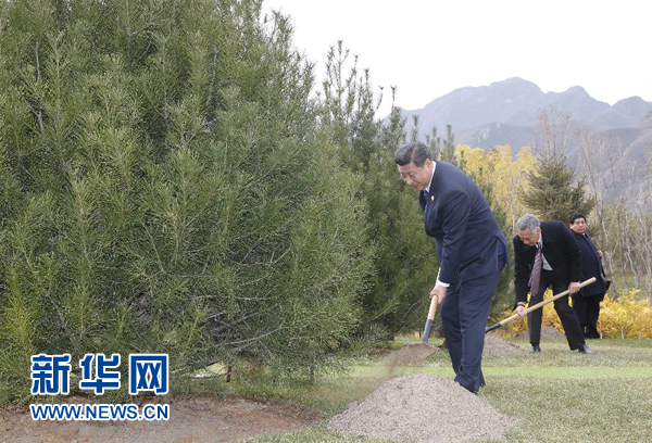 11月11日，中国国家主席习近平与出席2014年亚太经合组织领导人非正式会议的各成员经济体领导人、代表共植APEC亚太伙伴林。新华社记者鞠鹏摄