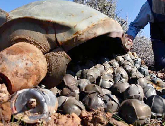 乌克兰军方否认在本国东部使用集束炸弹3