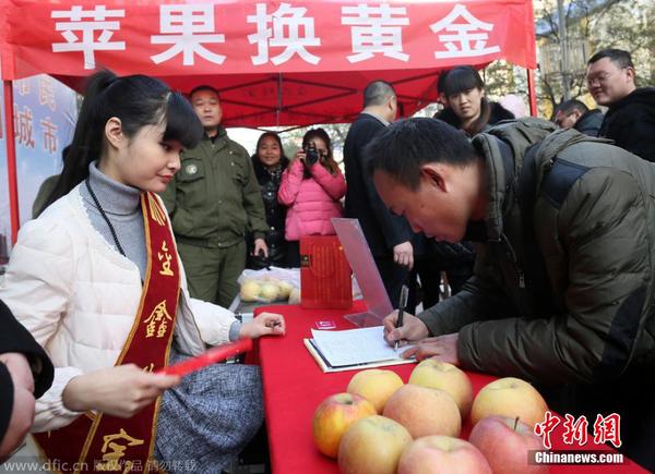 2014年12月23日，河南省郑州市，在二七路一珠宝广场，200多位市民排起了数十米长队，拿着苹果等待换黄金。据介绍，为了迎圣诞节，凡持一对苹果到当地一珠宝店，即可免费兑换迷你“招财金”小金条一个。图为市民在排队兑换。卢键 摄 图片来源：东方IC 版权作品 请勿转载