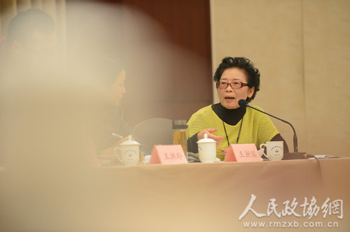 王浙滨委员在小组会上发言_副本