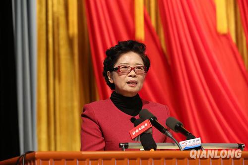 王浙滨委员发言：以“国家宪法日”为契机，推进建设法治中国首善之区。千龙网记者 王自彬摄