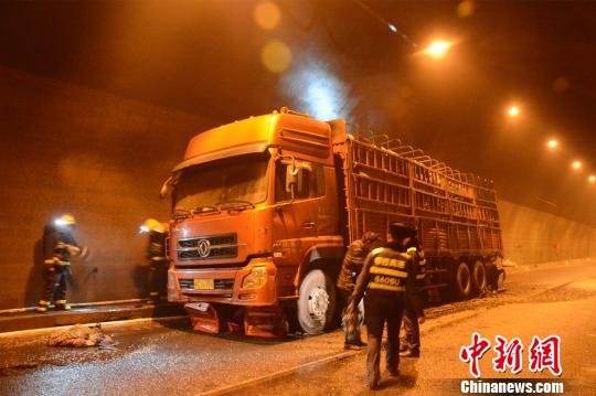 沪渝高速一货车隧道起火 浓烟过大致多车追尾1