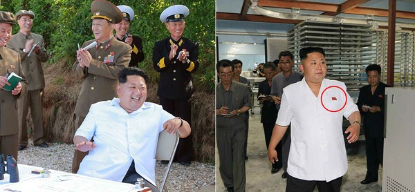 26e96ae9ef356a9_size188_w1200_h556