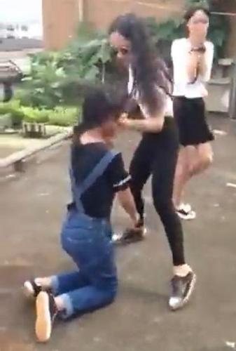 　网传图片