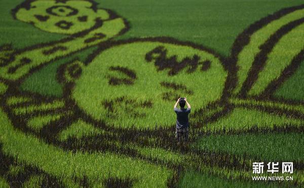 128097695_14388189116651n