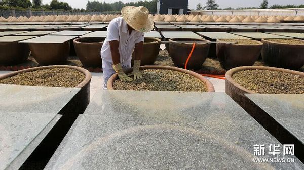 QQ图片20150827104119