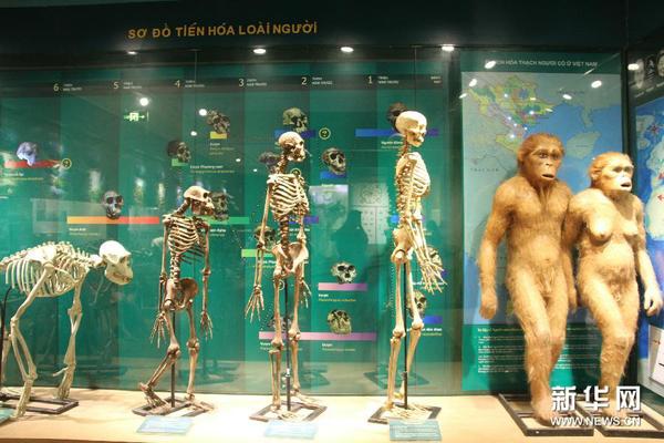 128180642_14408960098481n