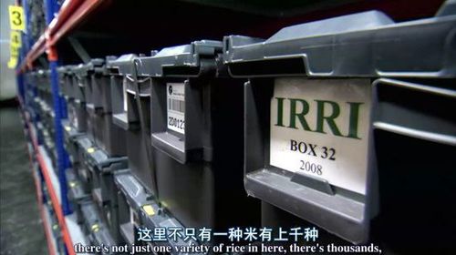 693BF85915B49EE7D96265F852061F65