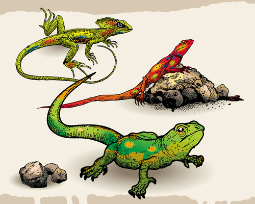 267828-13052100104865