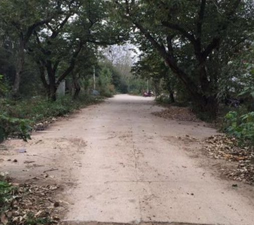 村民告官：修路修成“上坟路” 直通局长祖坟