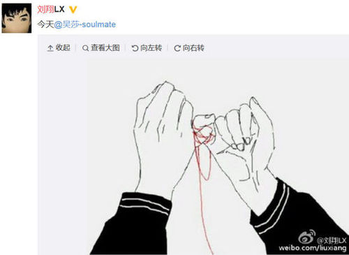 图说:刘翔微博截图 图说:刘翔微博截图