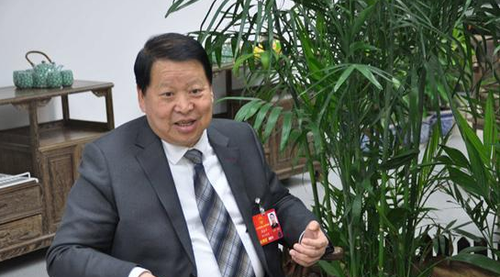 全国人大代表、浙江省奉化市滕头村党委书记傅企平