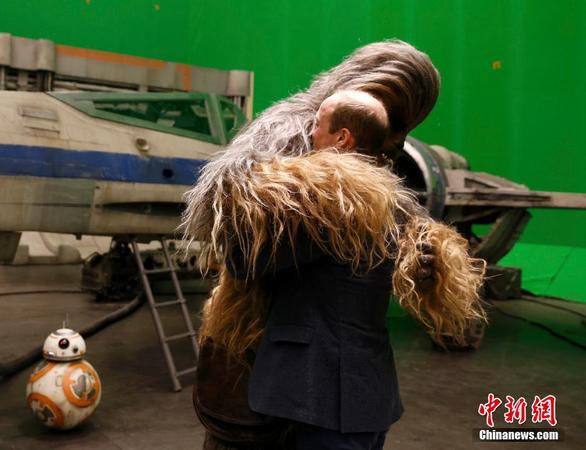 bc305baebed818810dff13