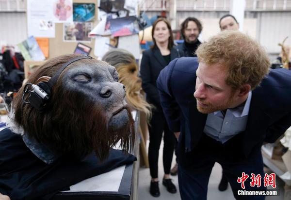 bc305baebed818810dff14