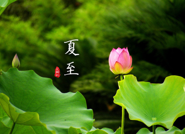 20141019141039_c2MtB.thumb.700_0
