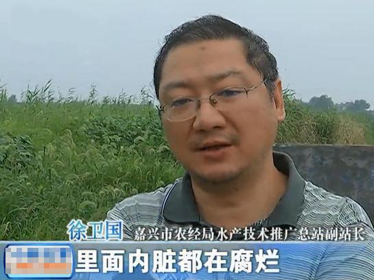 浙江路边现泰国食人鳄 2.4米散发阵阵恶臭