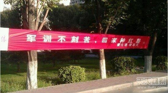 各大高校的奇葩迎新标语 让学妹看了脸红