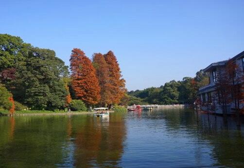 QQ截图20161216105828 QQ截图20161216105828