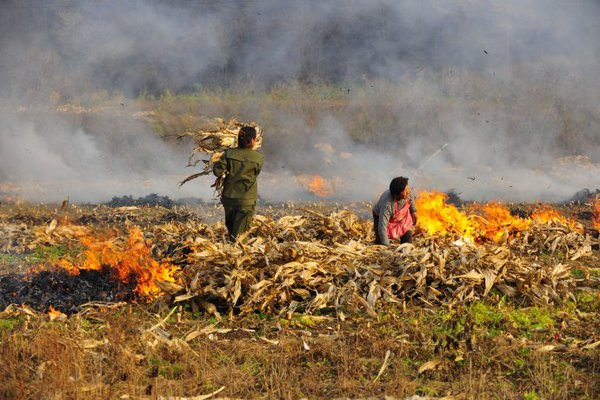 001InCQlzy6MUxh1jFR57&690 001InCQlzy6MUxh1jFR57&690