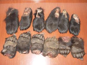 朋友圈叫卖境外熊掌