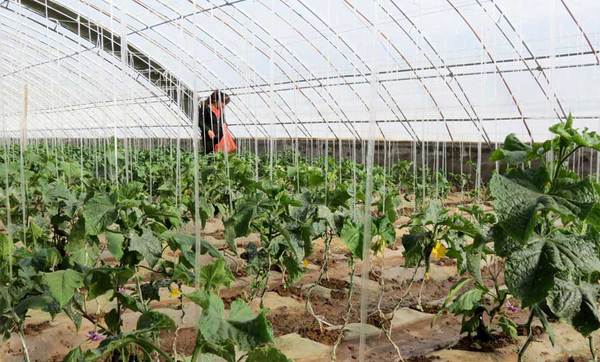 W020130318605254869678