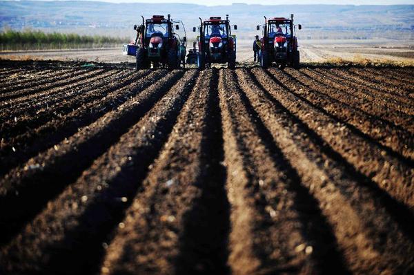 131580171_21n 131580171_21n