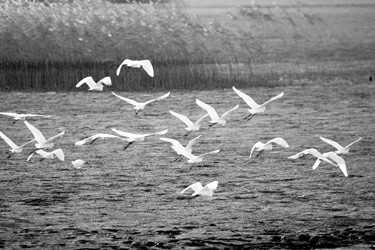 Img305292555 Img305292555