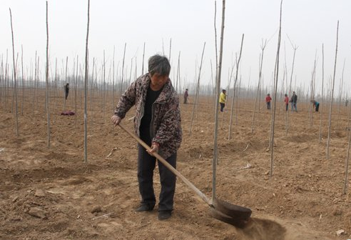 QQ截图20170123162347 QQ截图20170123162347