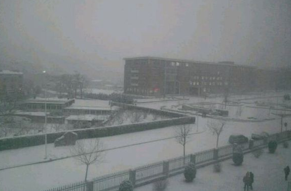 QQ截图20170124155519 QQ截图20170124155519