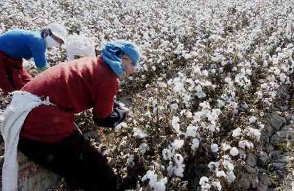 5771362922475881730 5771362922475881730