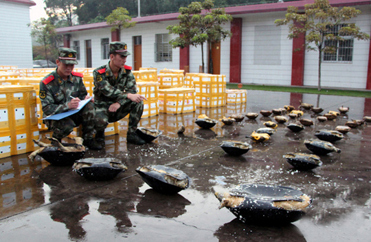 1145151H0-1 1145151H0-1