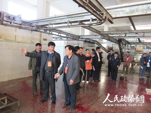 防城港市上思县政协开展重点提案视察活动