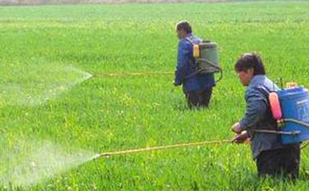 QQ截图20170213155524 QQ截图20170213155524