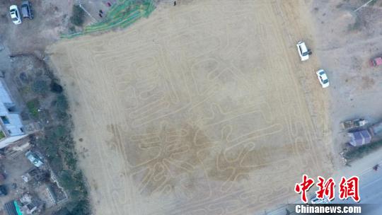 众人脚下的足迹犹如浑然天成的“神笔”。15日白天,在空地处显现出“国泰民安”四个大字。 崔琳 摄 点击进入下一页