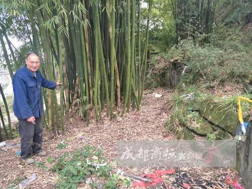 2岁女童大年初一被栓坟场 母亲称因其父为逼复婚