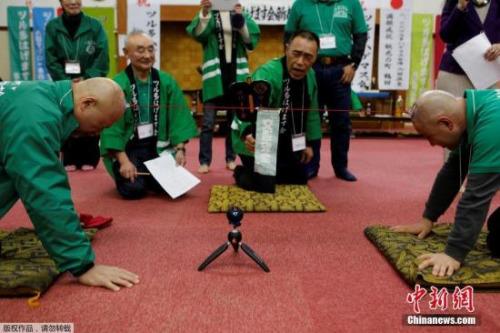日本举行“光头拔河赛” 头顶吸盘角逐激烈(图)