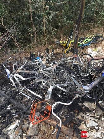 成都共享单车被烧案告破 嫌疑人系景区自行车租赁老板