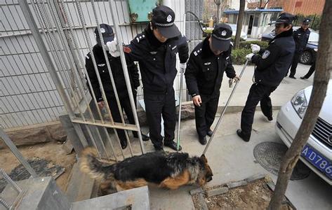 济南推养犬计分制