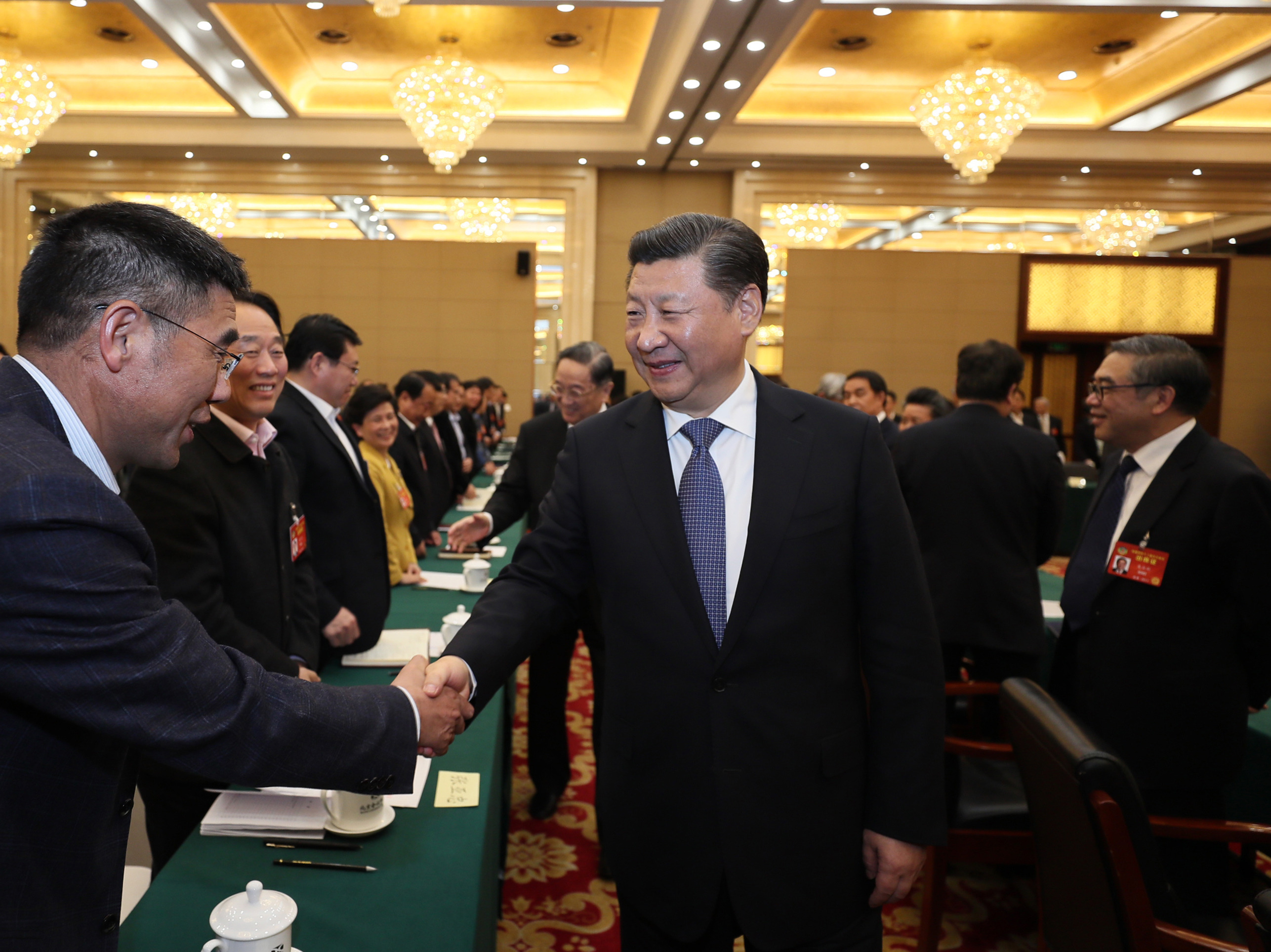 习近平看望民进、农工党、九三学社界委员并参加讨论